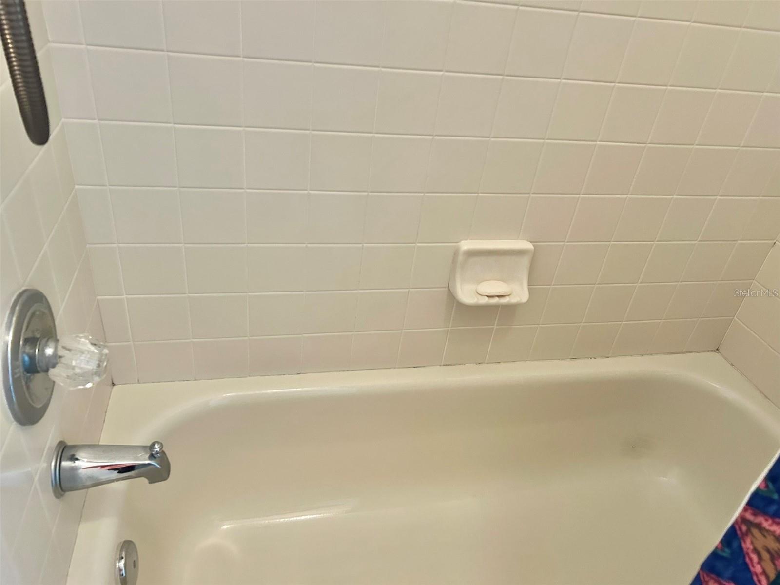 3916 APPLETREE DR, VALRICO, FL, 33594
