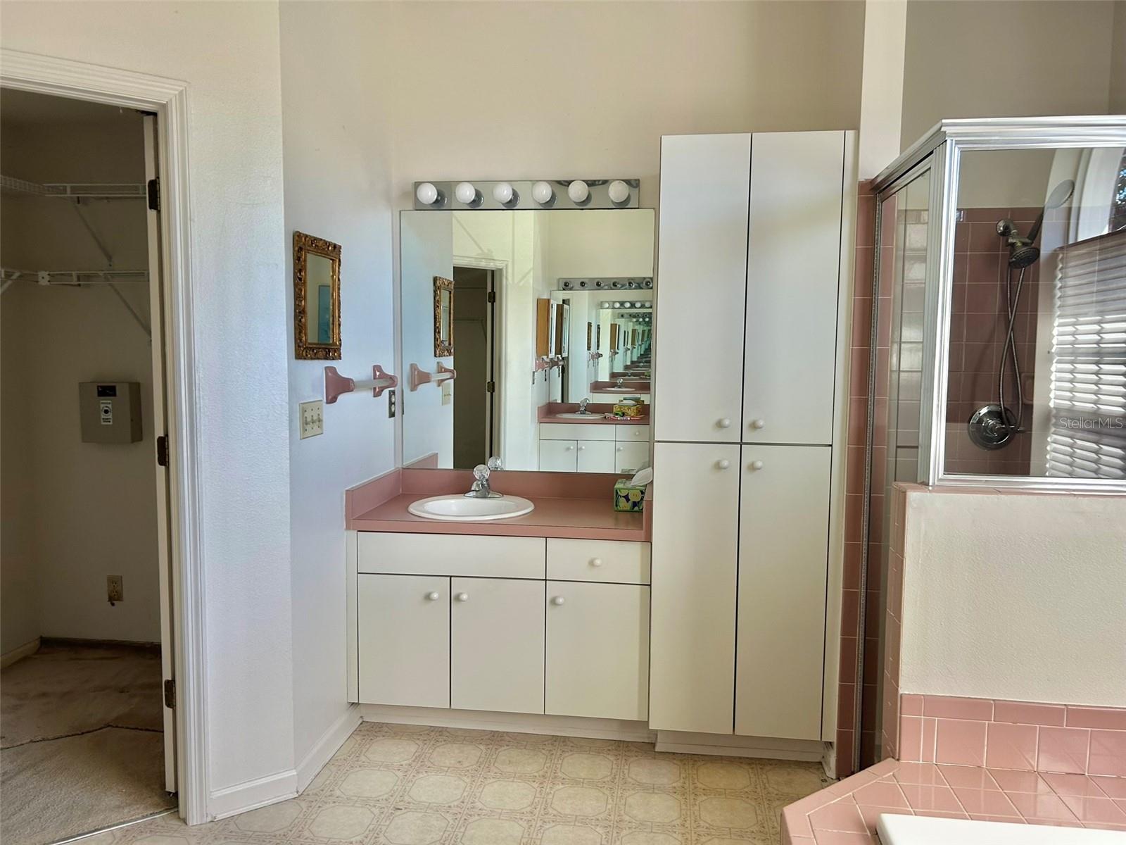 3916 APPLETREE DR, VALRICO, FL, 33594