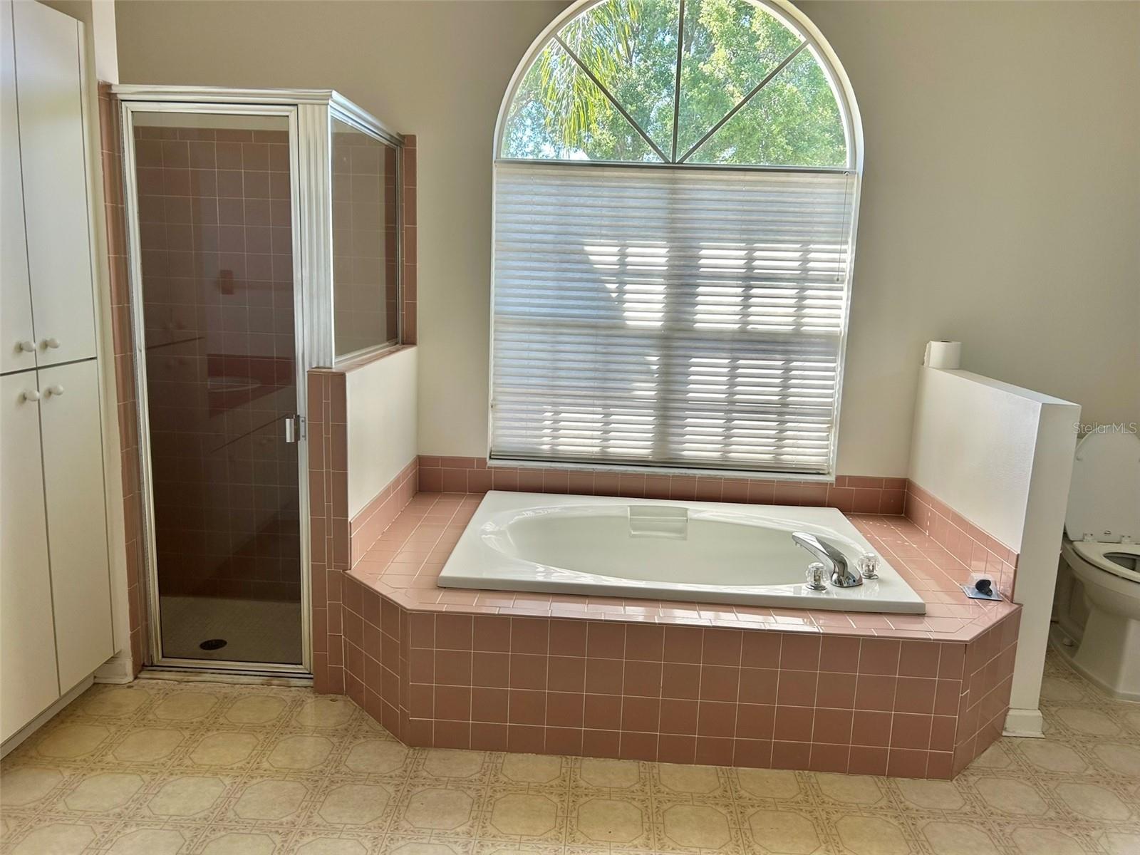 3916 APPLETREE DR, VALRICO, FL, 33594