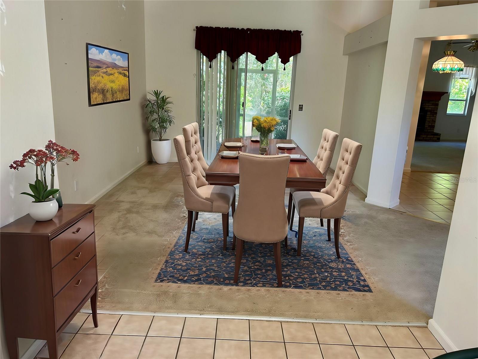 3916 APPLETREE DR, VALRICO, FL, 33594