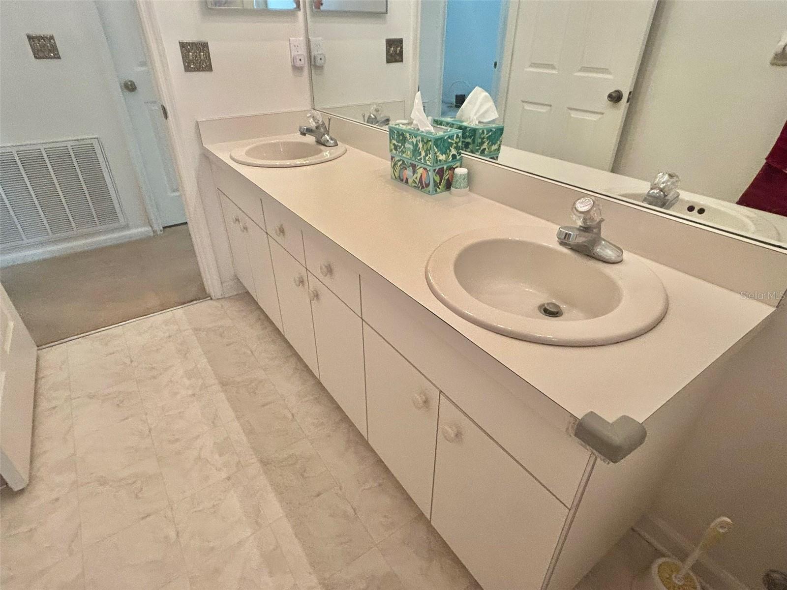 3916 APPLETREE DR, VALRICO, FL, 33594