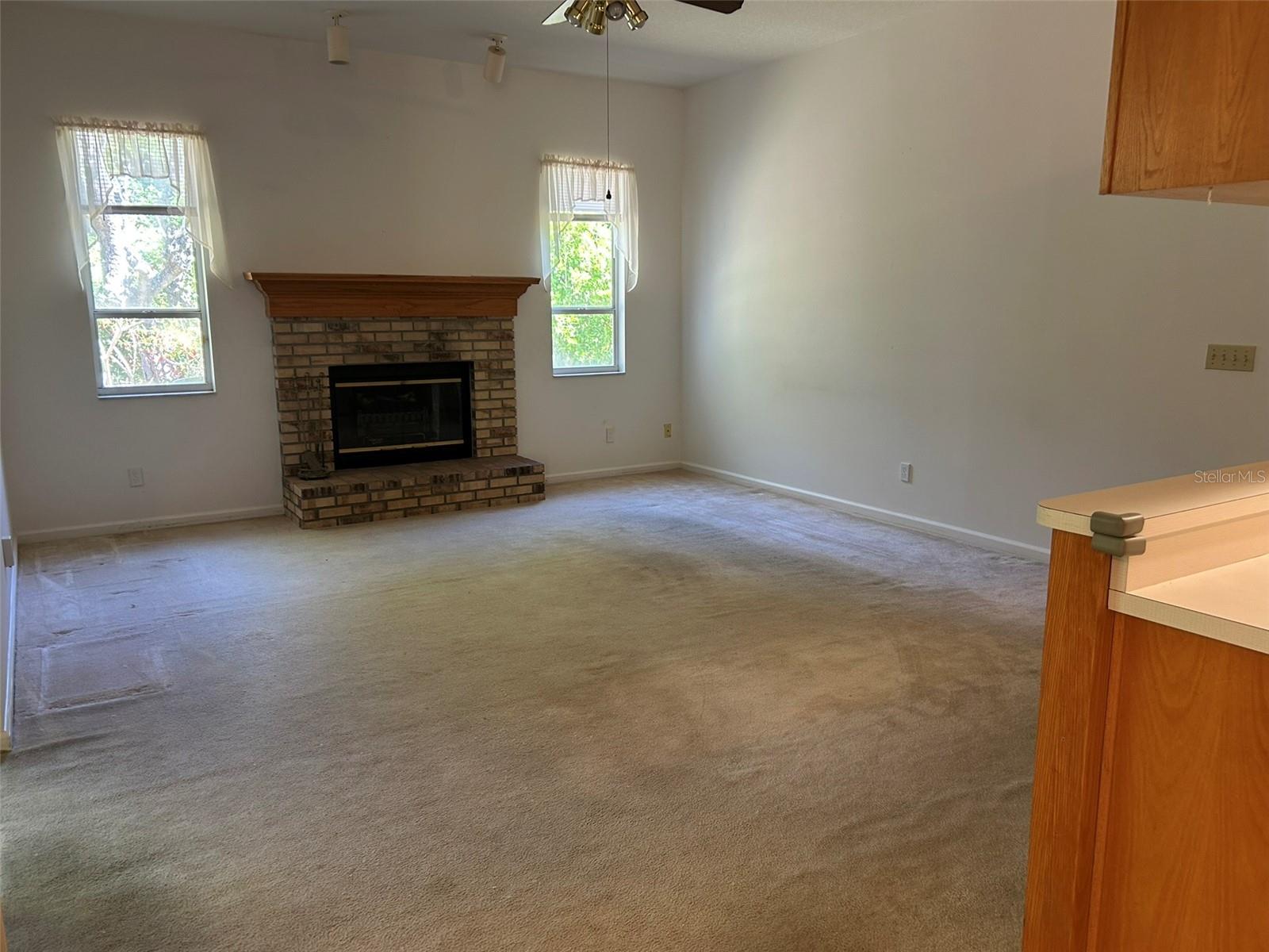 3916 APPLETREE DR, VALRICO, FL, 33594