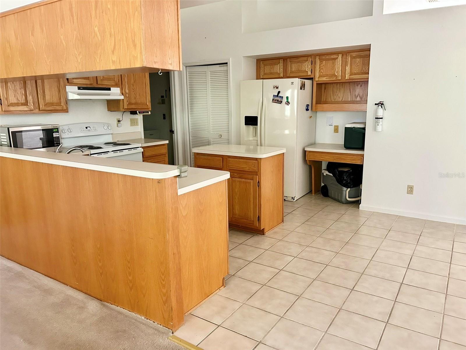 3916 APPLETREE DR, VALRICO, FL, 33594