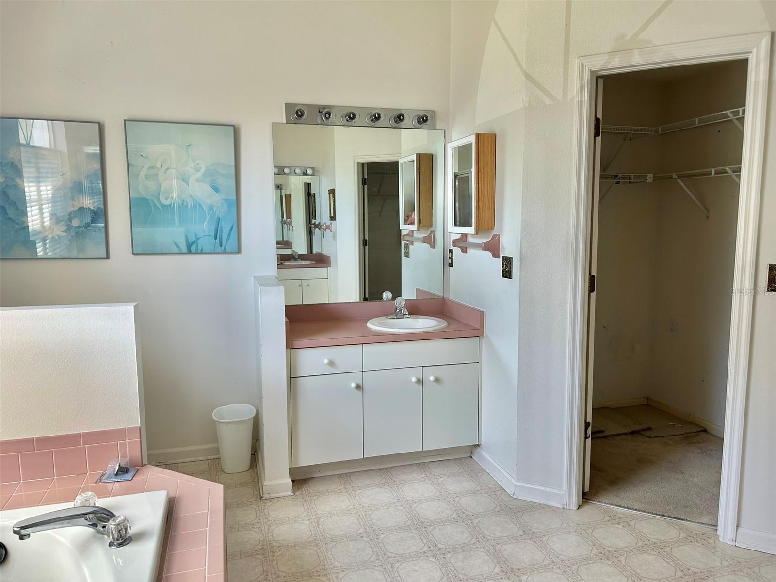 3916 APPLETREE DR, VALRICO, FL, 33594