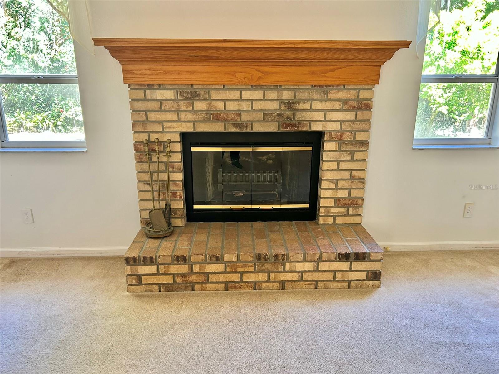 3916 APPLETREE DR, VALRICO, FL, 33594