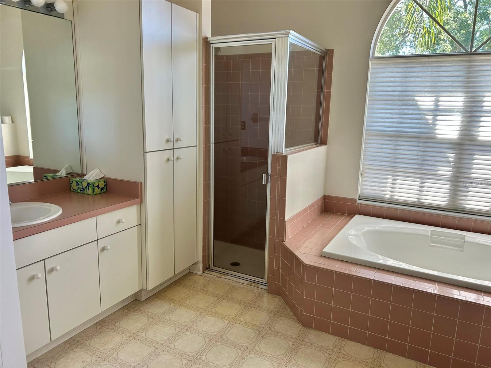 3916 APPLETREE DR, VALRICO, FL, 33594