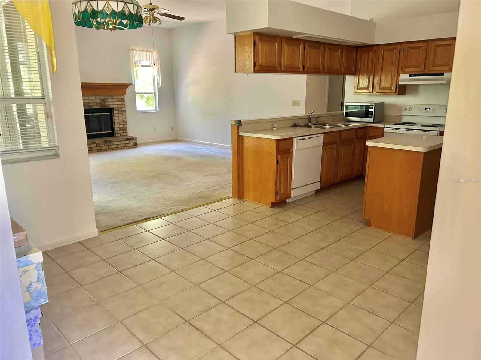 3916 APPLETREE DR, VALRICO, FL, 33594
