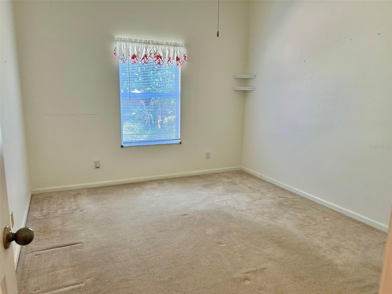 3916 APPLETREE DR, VALRICO, FL, 33594