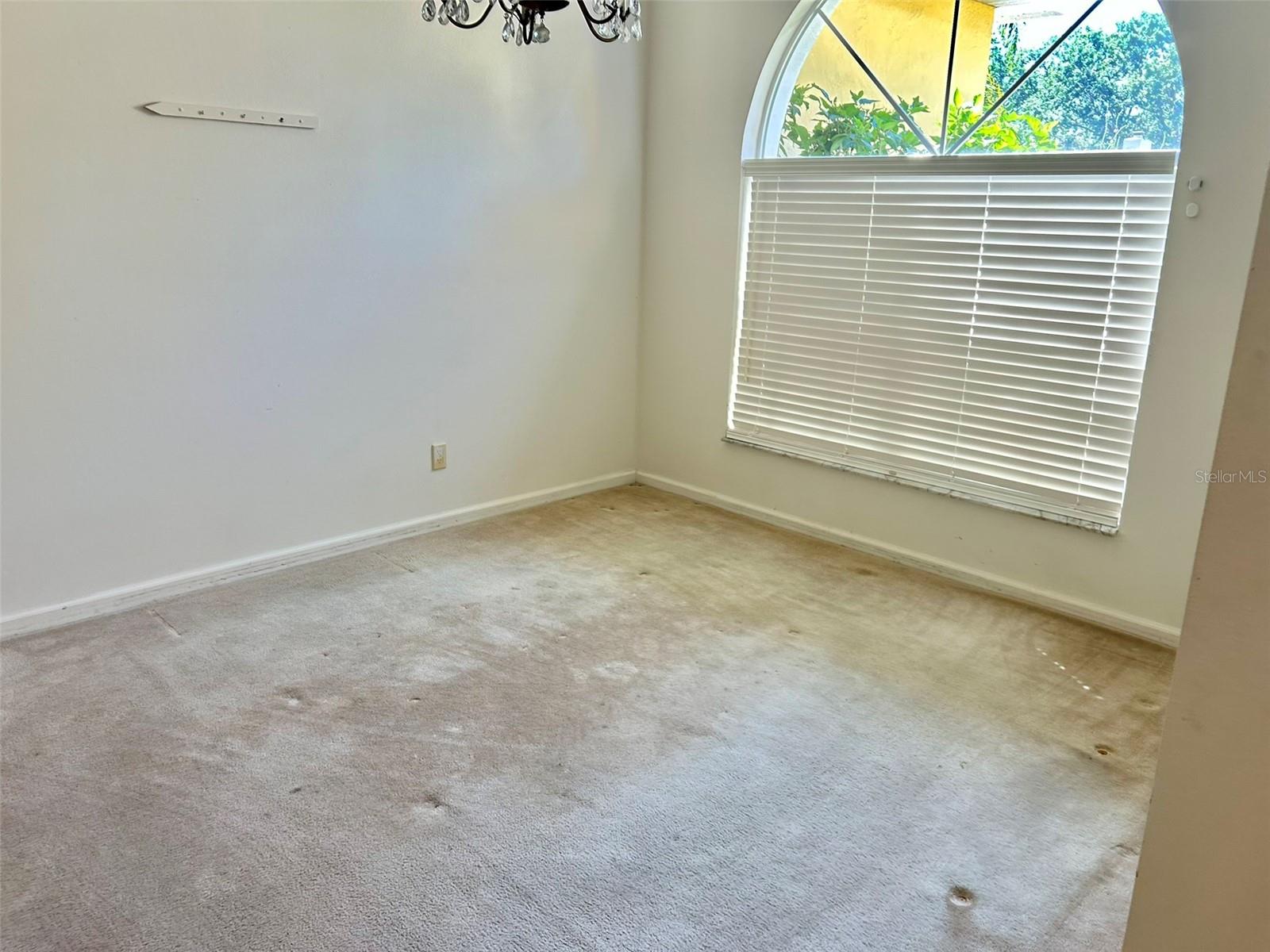 3916 APPLETREE DR, VALRICO, FL, 33594