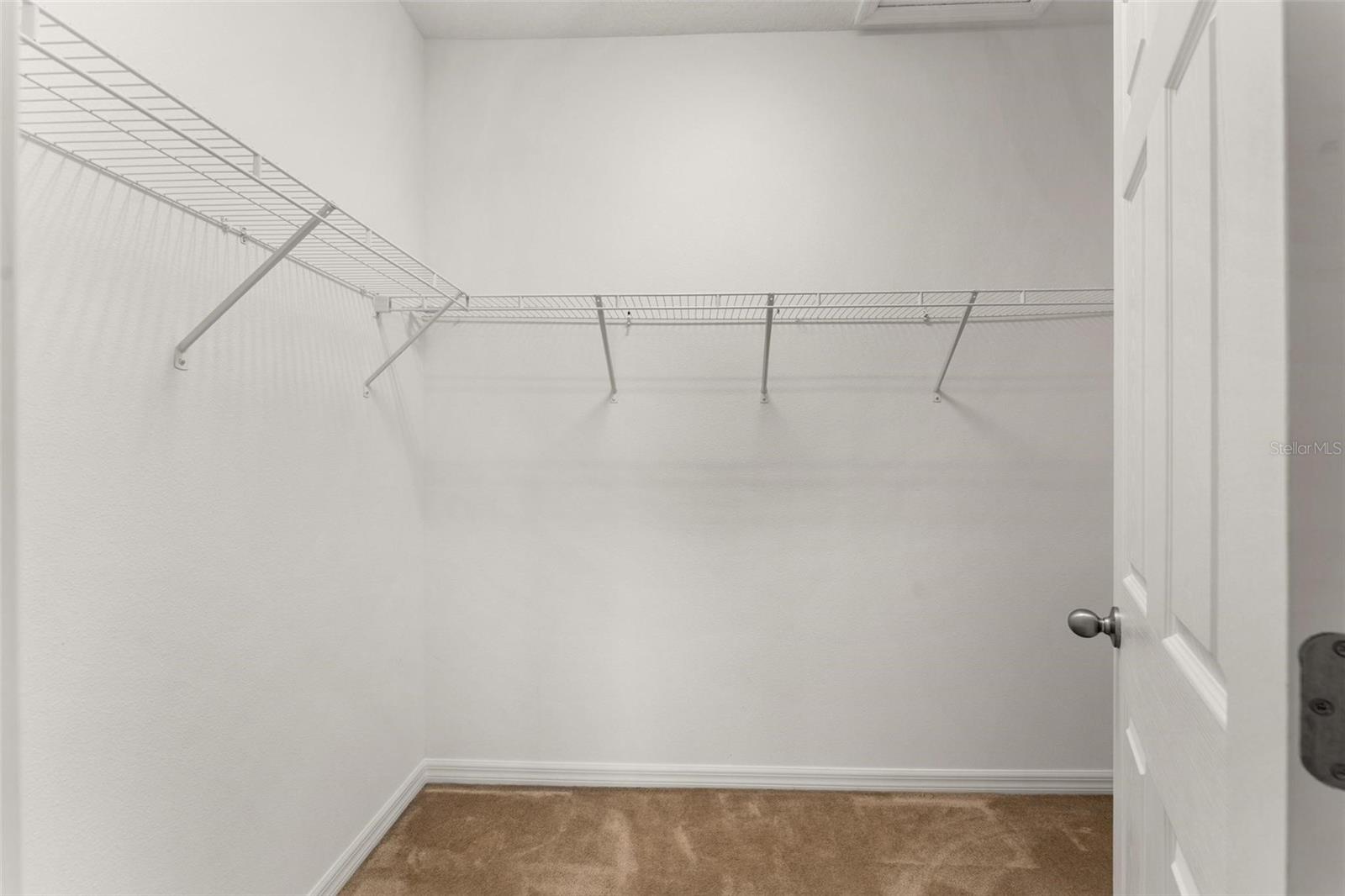 8013 BASILICA LN, WINTER GARDEN, FL, 34787