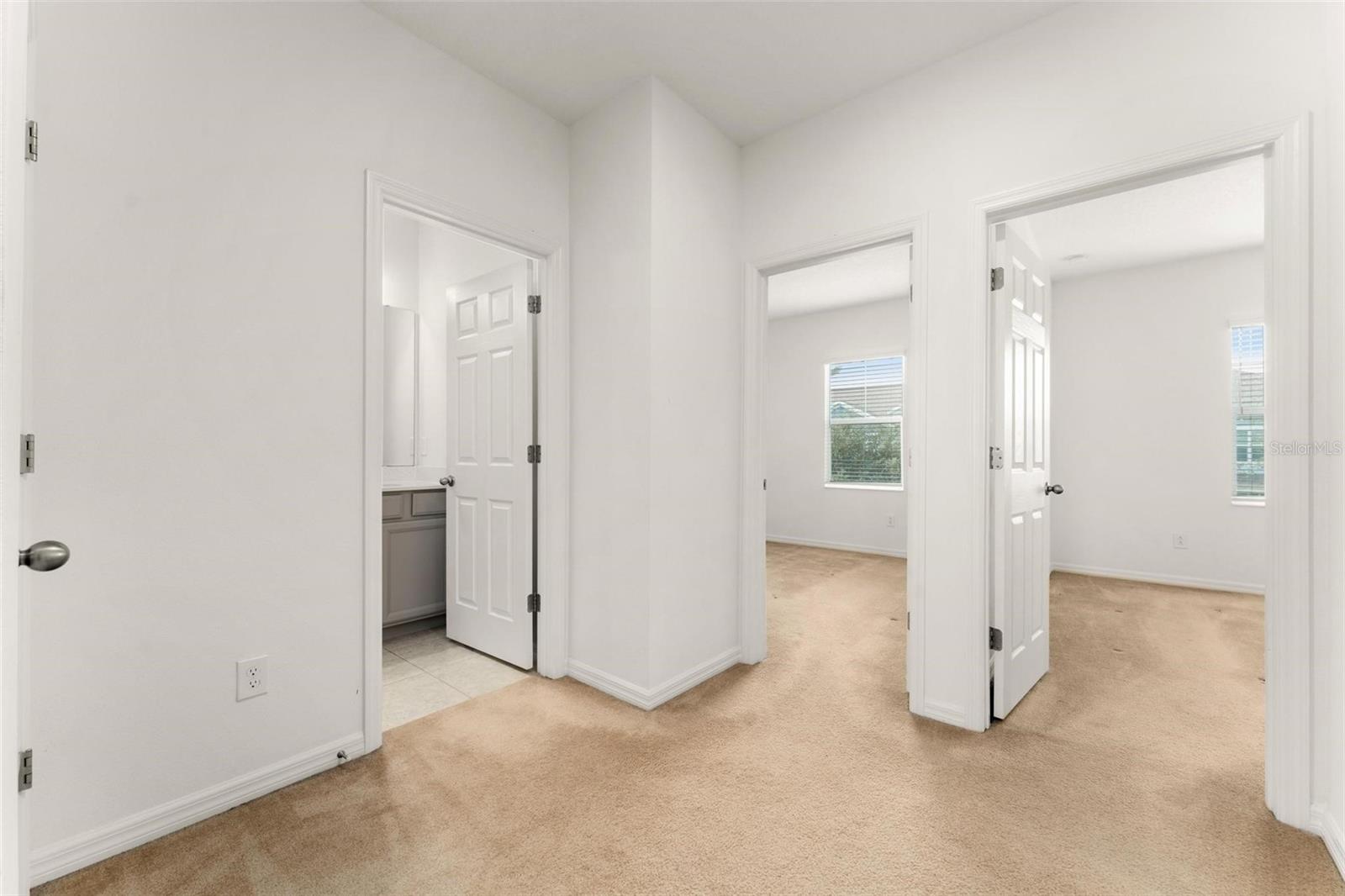 8013 BASILICA LN, WINTER GARDEN, FL, 34787