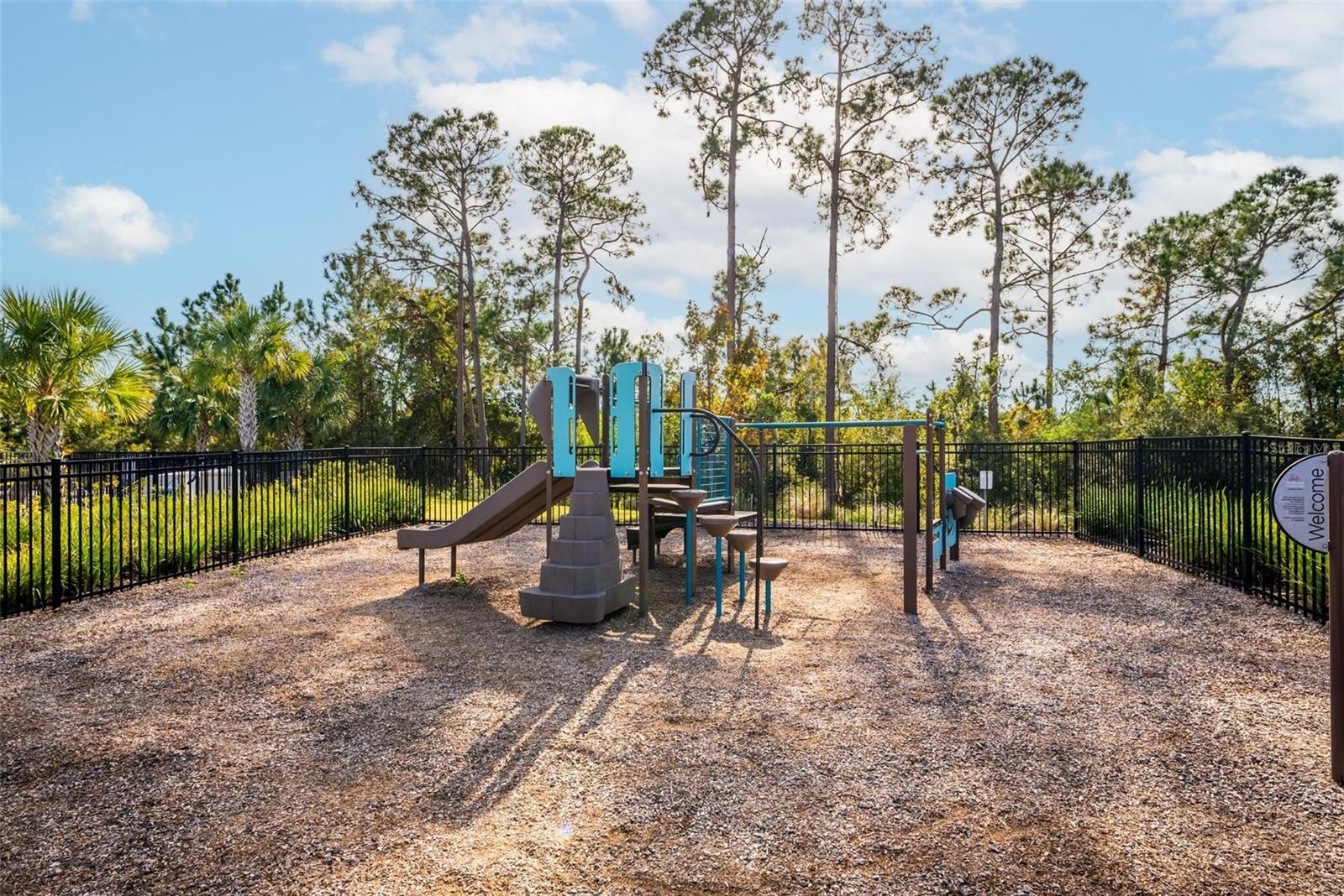 8013 BASILICA LN, WINTER GARDEN, FL, 34787