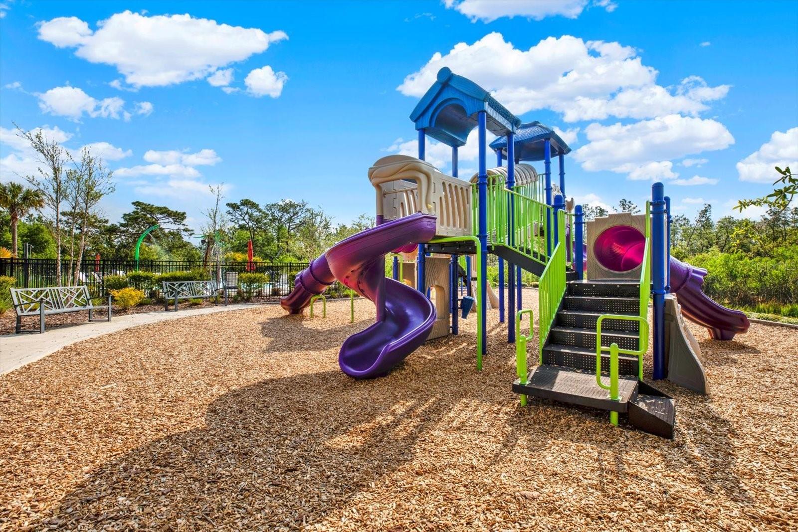 5851 HALEWOOD WAY, WESLEY CHAPEL, FL, 33545