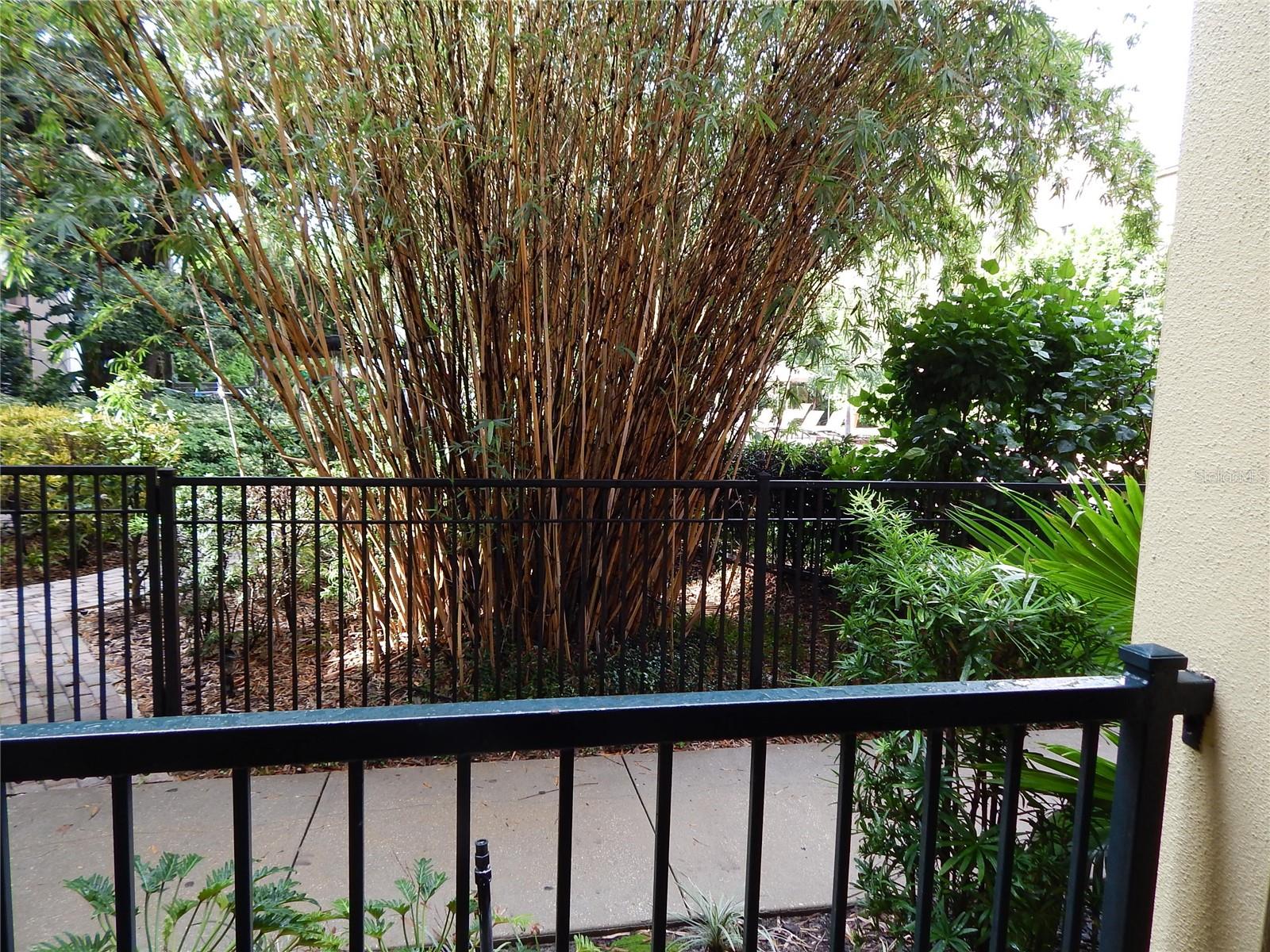 2421 W HORATIO ST #817, TAMPA, FL, 33609