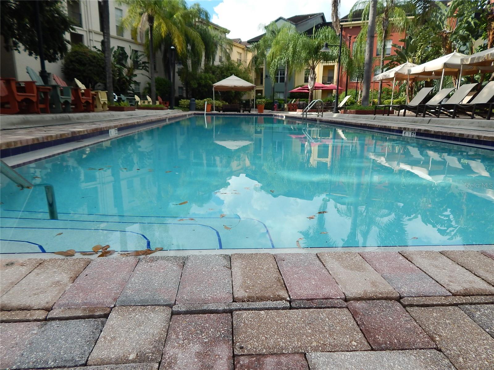 2421 W HORATIO ST #817, TAMPA, FL, 33609