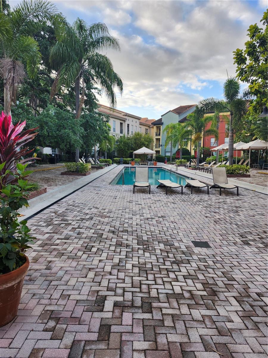 2421 W HORATIO ST #817, TAMPA, FL, 33609