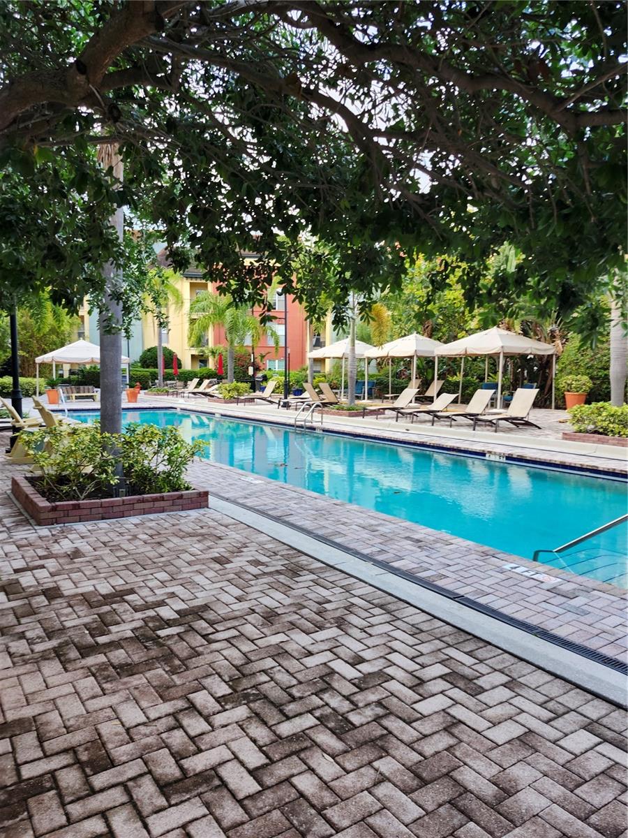 2421 W HORATIO ST #817, TAMPA, FL, 33609