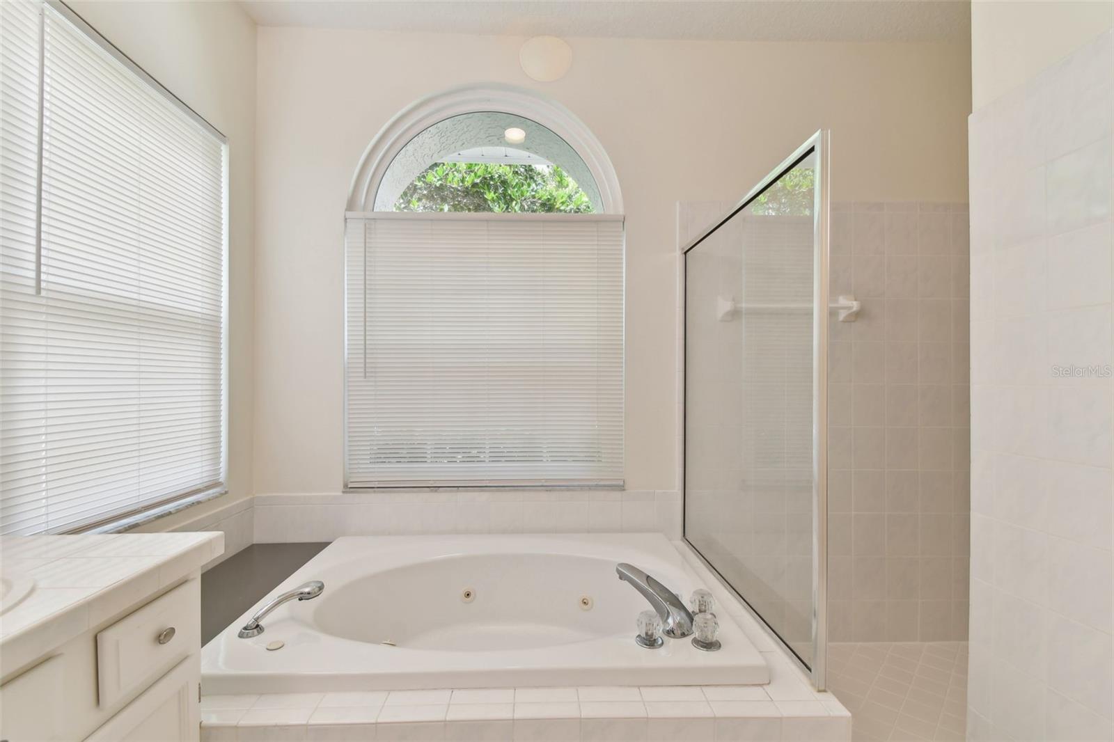 2159 WARWICK DR, OLDSMAR, FL, 34677