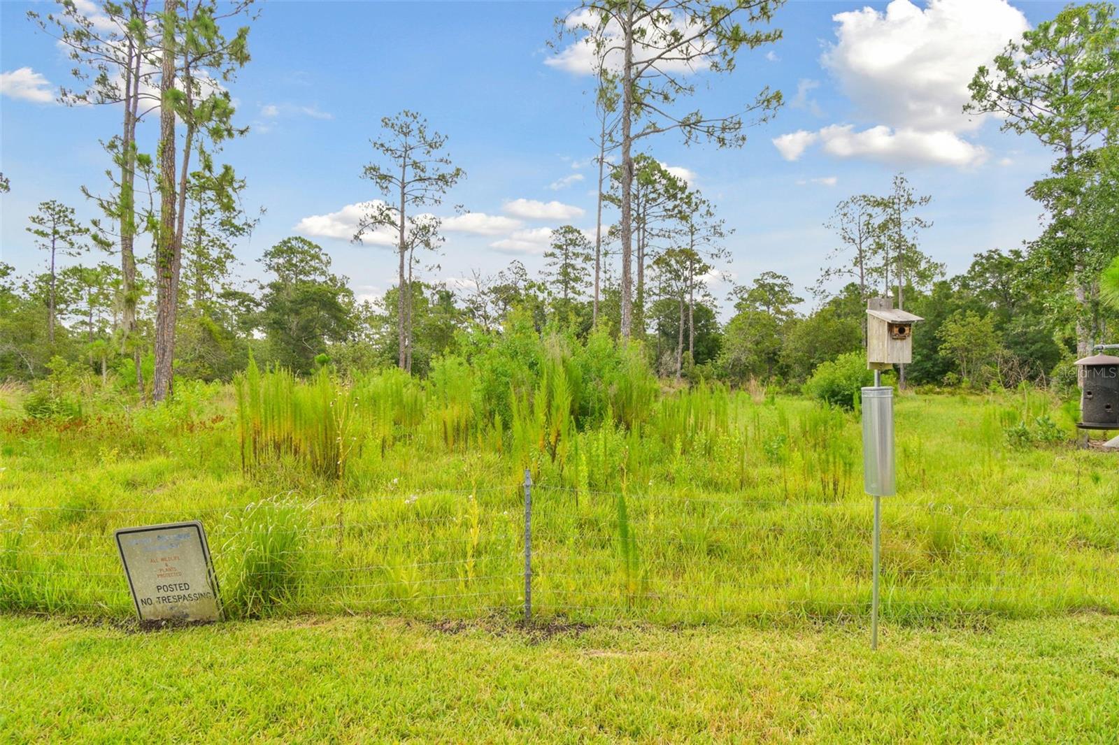 2159 WARWICK DR, OLDSMAR, FL, 34677