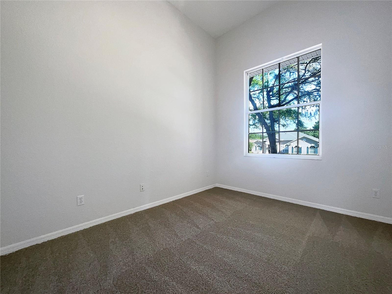 2317 VALRICO FOREST DR, VALRICO, FL, 33594