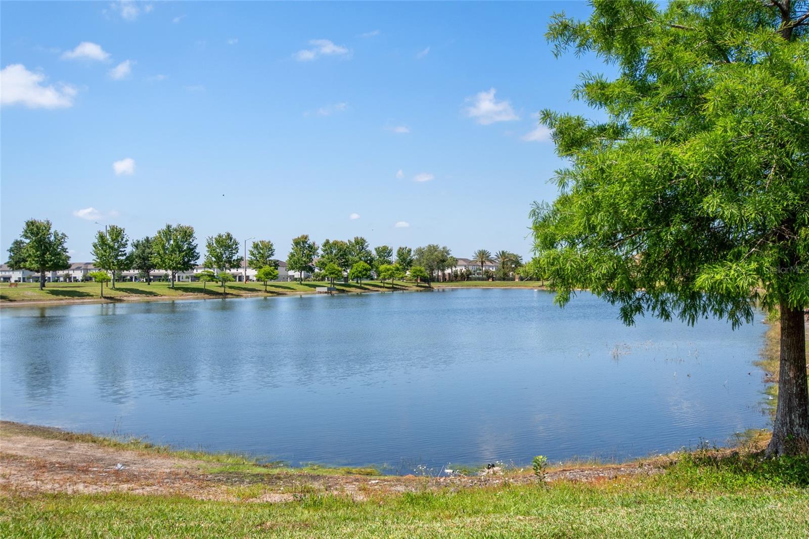 1969 PORTOFINO MEADOWS BLVD, ORLANDO, FL, 32824