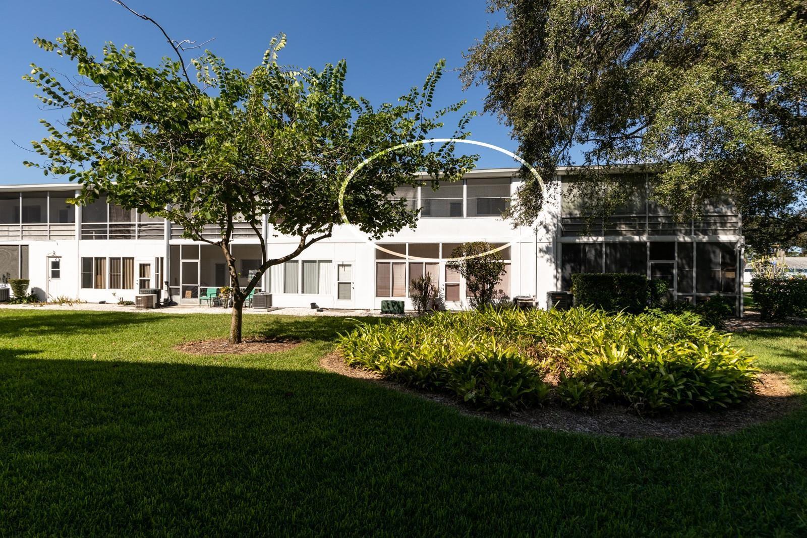 8555 112TH ST #209, SEMINOLE, FL, 33772