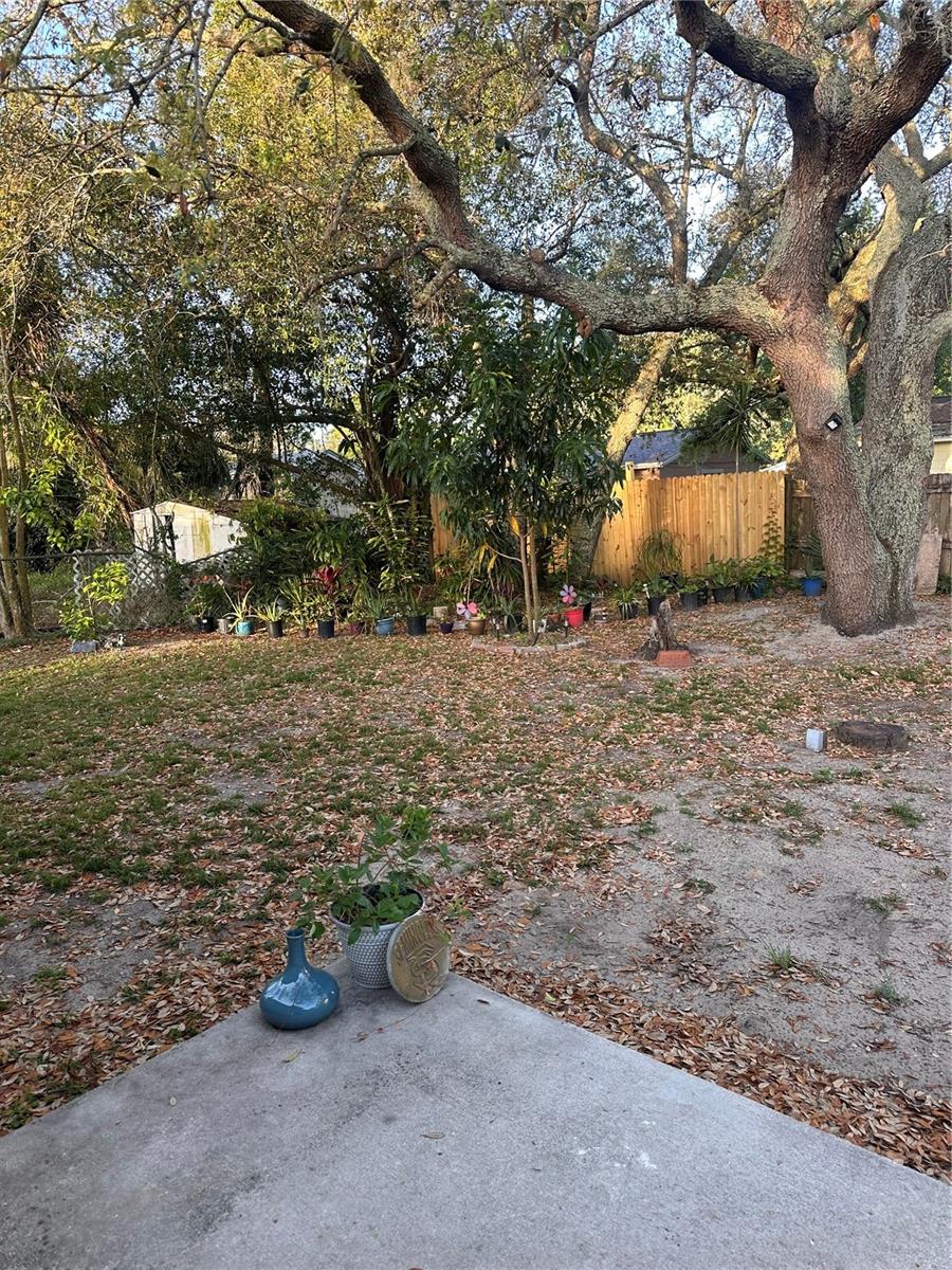 3666 BARONETTE DR, ORLANDO, FL, 32818