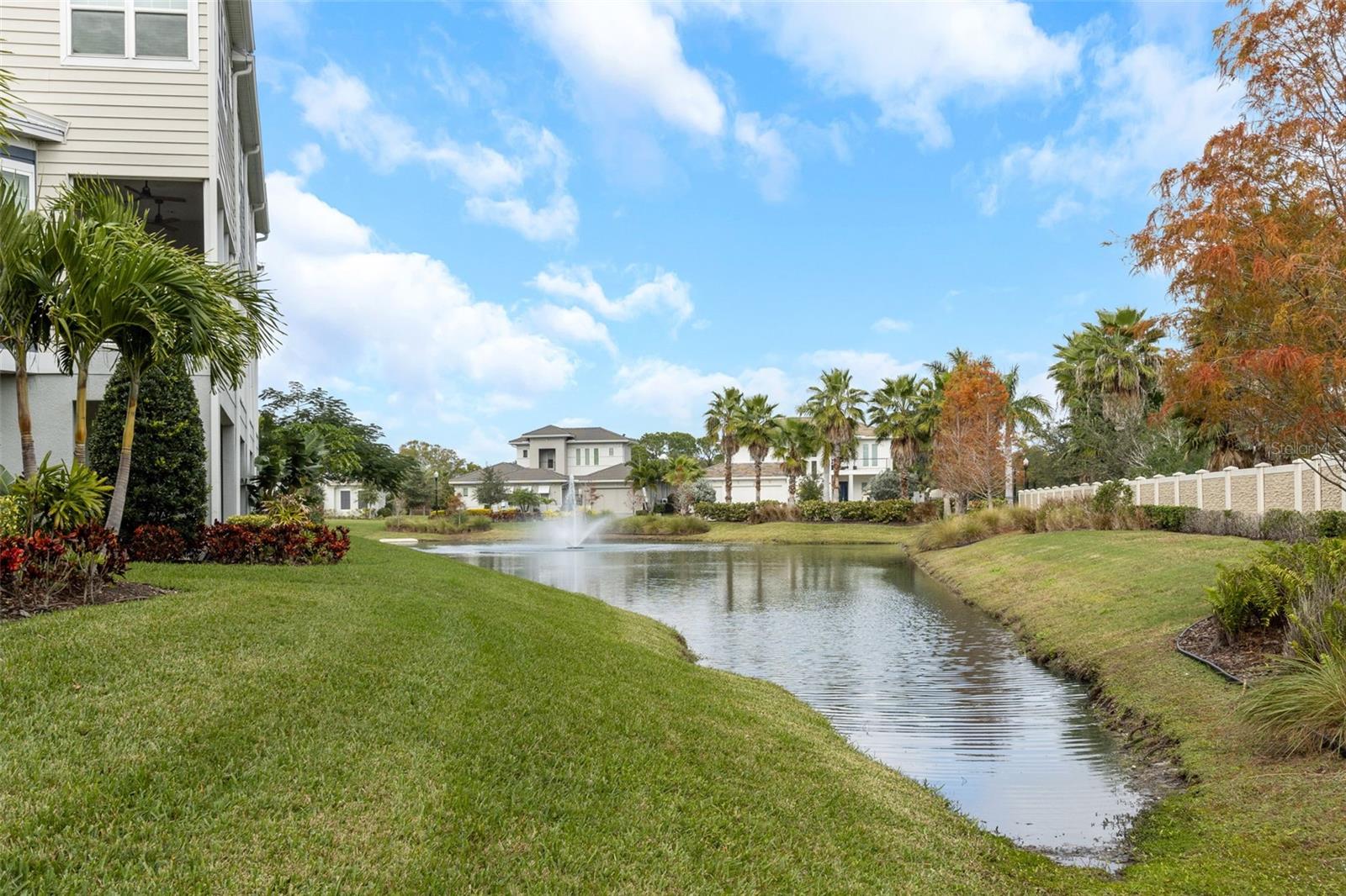 4111 ROCKY SHORES DR, TAMPA, FL, 33634