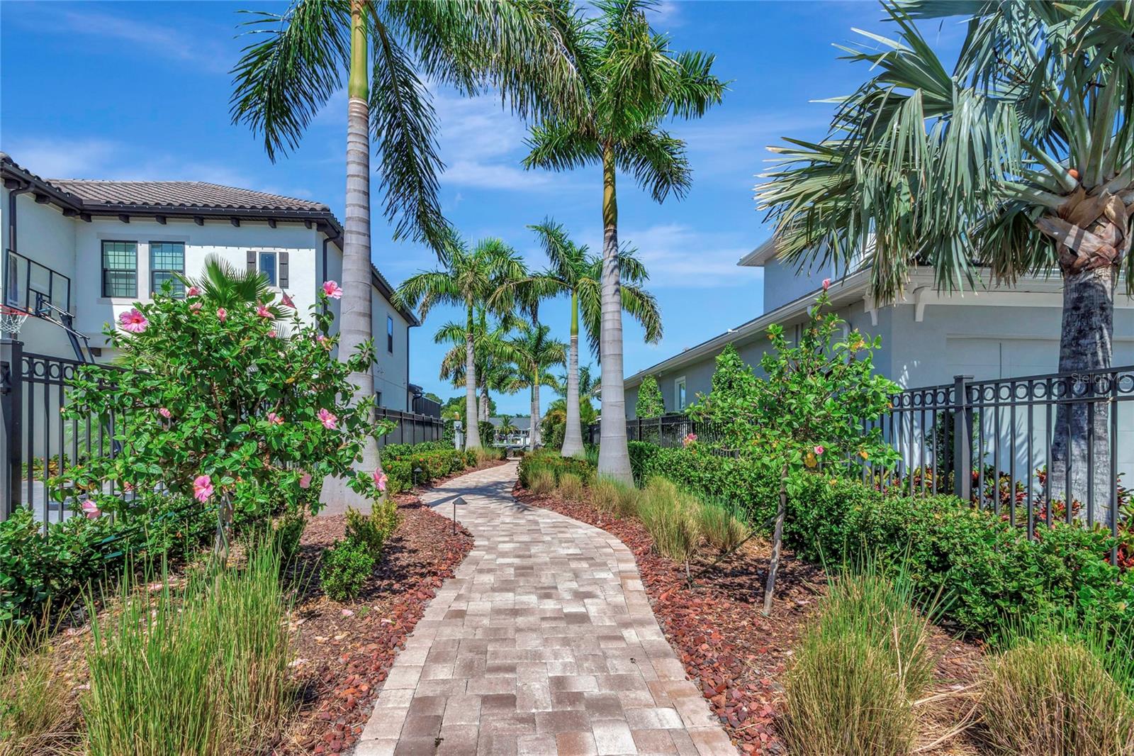 4111 ROCKY SHORES DR, TAMPA, FL, 33634