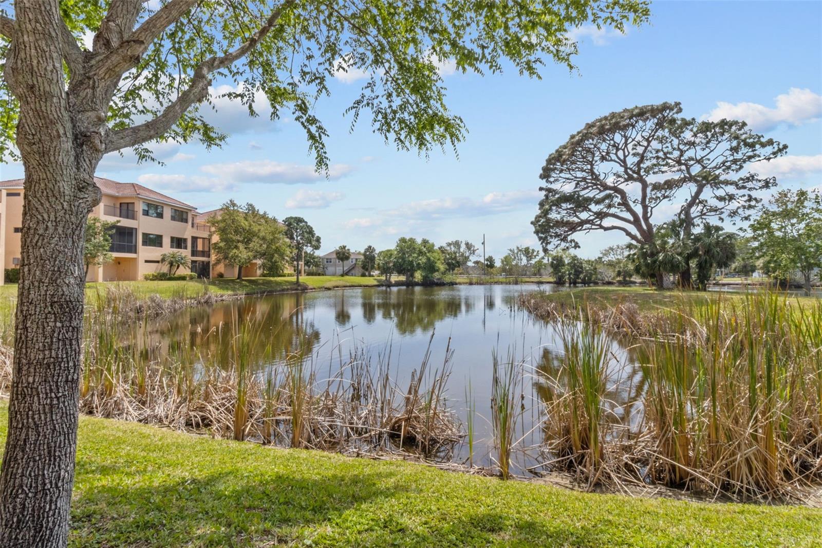 1537 EMBER LN, TARPON SPRINGS, FL, 34689