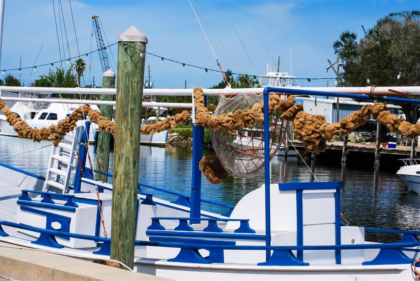 1537 EMBER LN, TARPON SPRINGS, FL, 34689