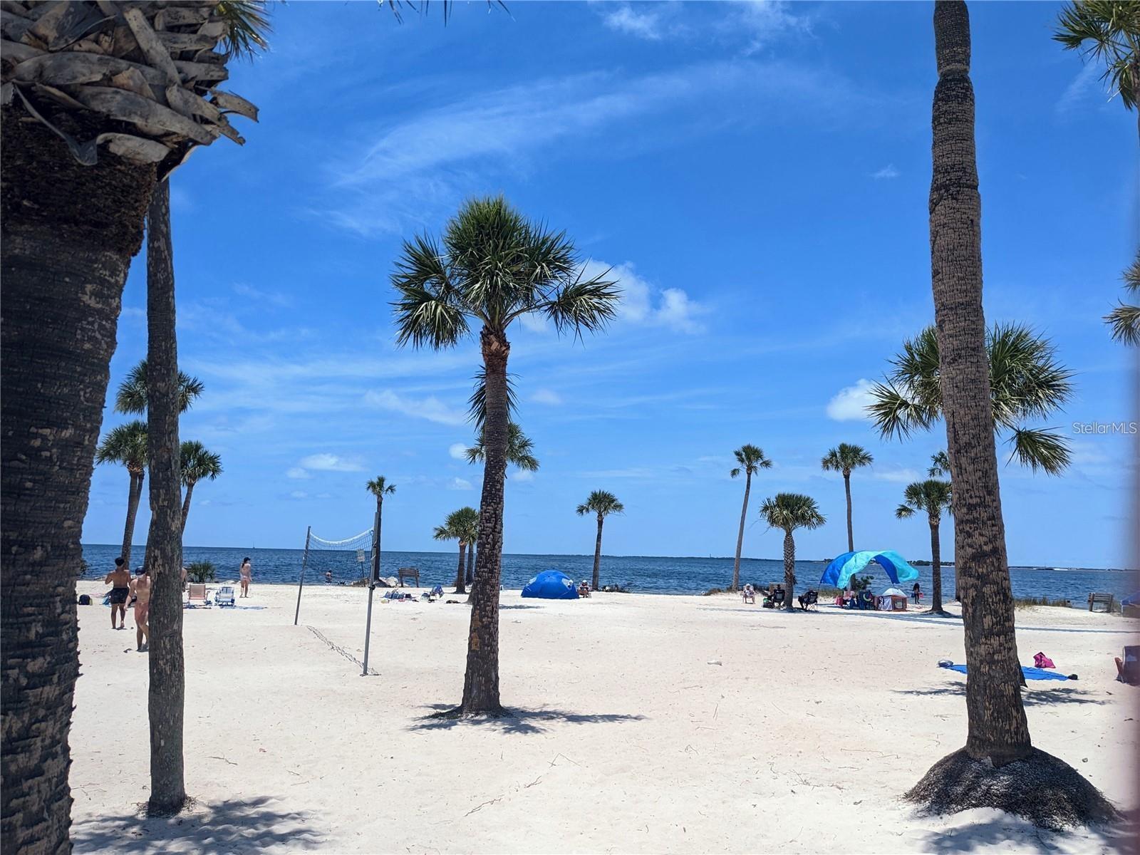 1537 EMBER LN, TARPON SPRINGS, FL, 34689