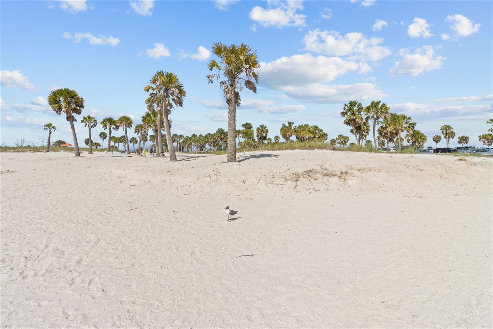 1537 EMBER LN, TARPON SPRINGS, FL, 34689