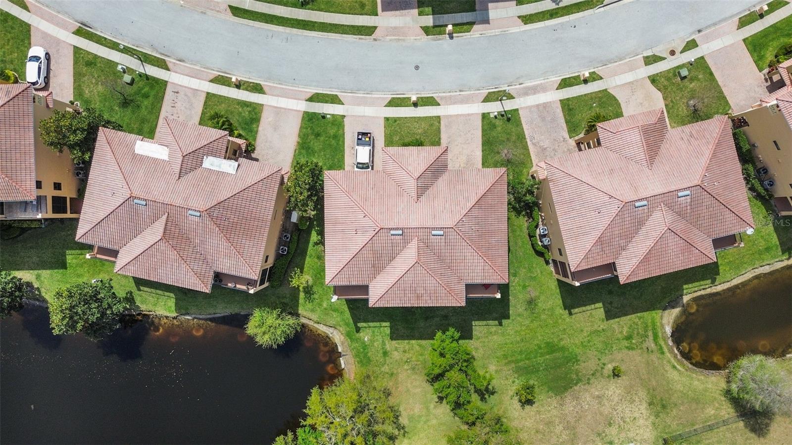 1537 EMBER LN, TARPON SPRINGS, FL, 34689