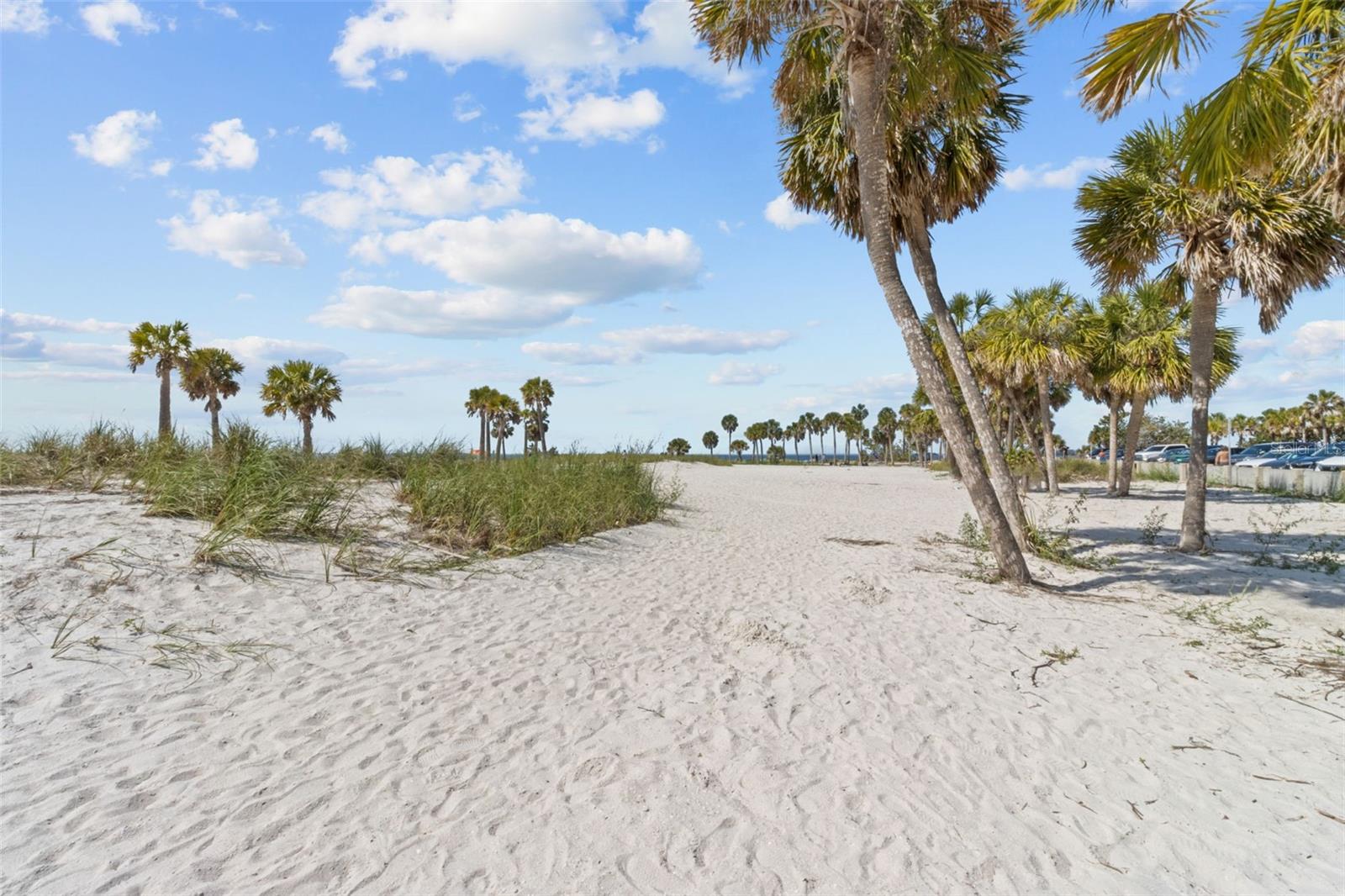 1537 EMBER LN, TARPON SPRINGS, FL, 34689