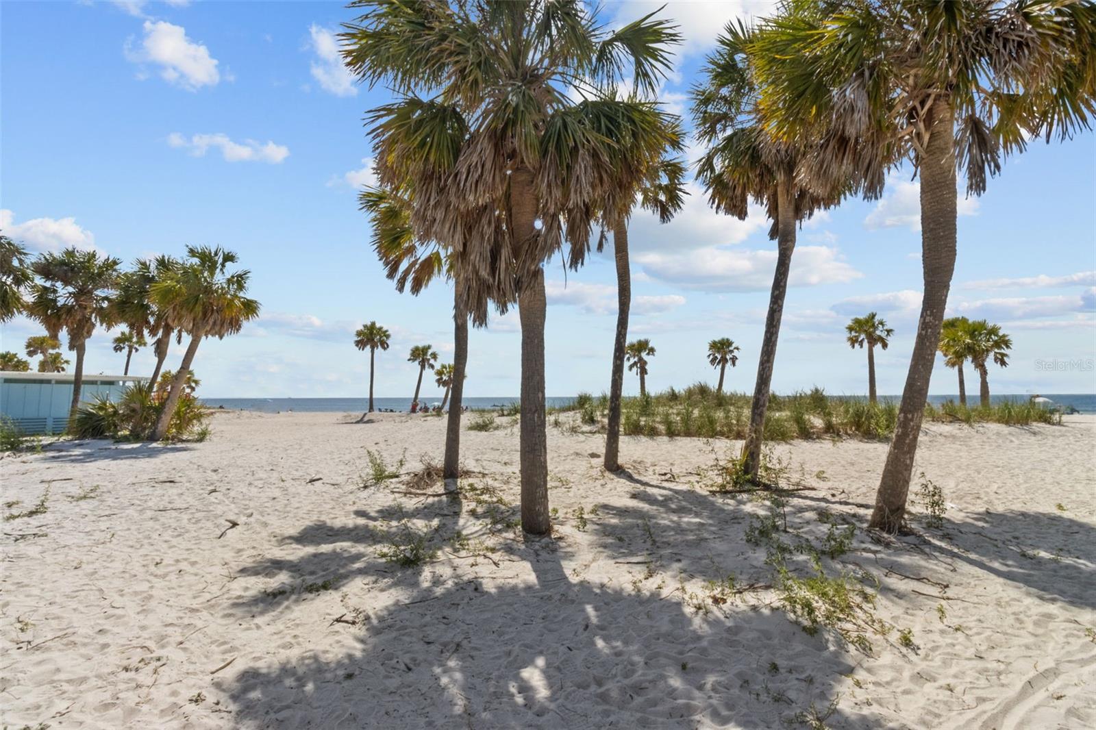 1537 EMBER LN, TARPON SPRINGS, FL, 34689