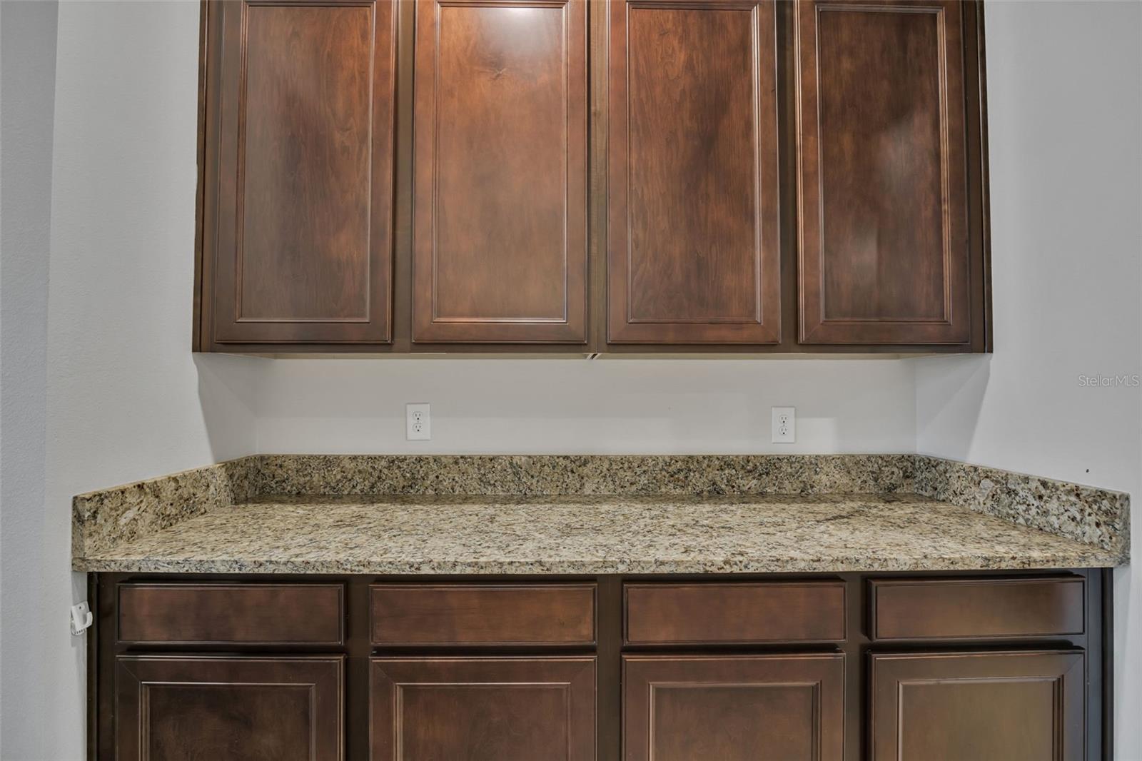 8277 BOWER BASS CIR, WESLEY CHAPEL, FL, 33545