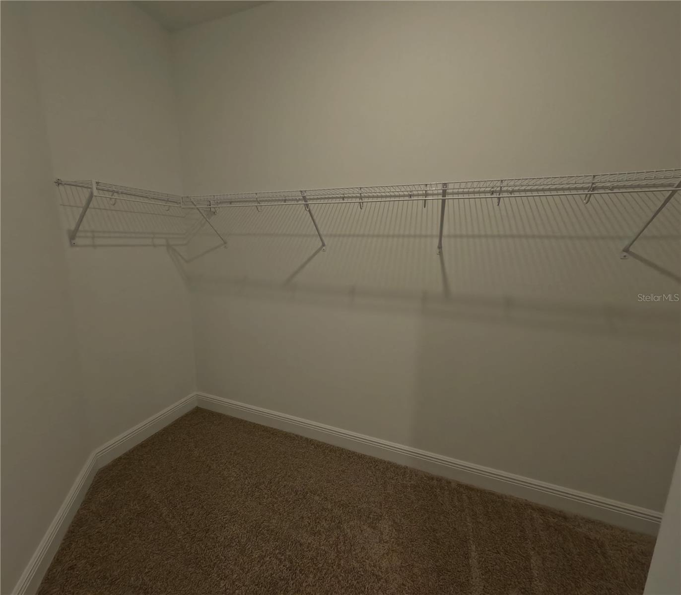 14274 CREST PALM AVE, WINDERMERE, FL, 34786