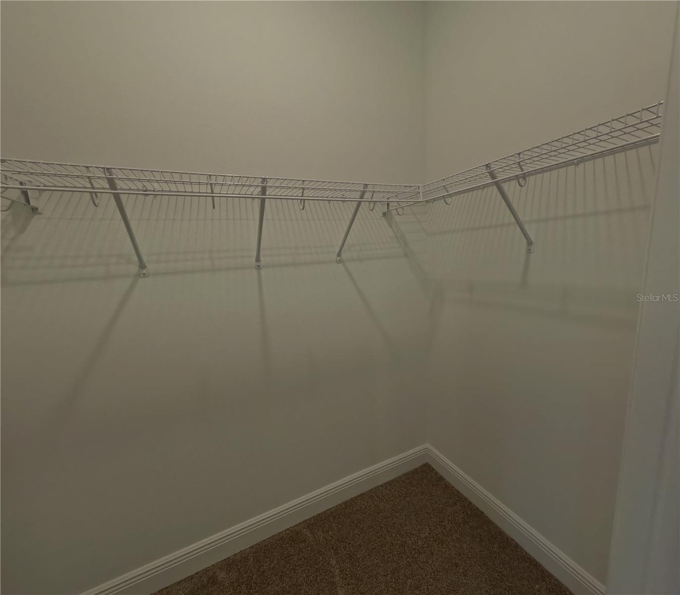 14274 CREST PALM AVE, WINDERMERE, FL, 34786