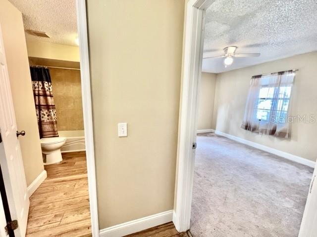 11411 PIKE CT #5, NEW PORT RICHEY, FL, 34654