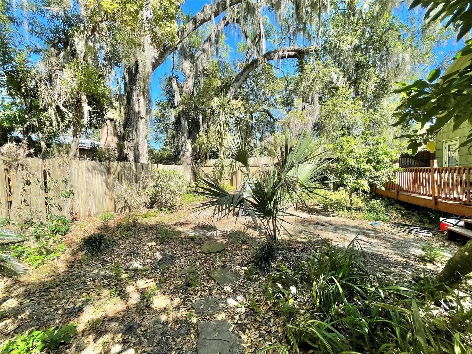 1035 NE 3RD AVE, GAINESVILLE, FL, 32601