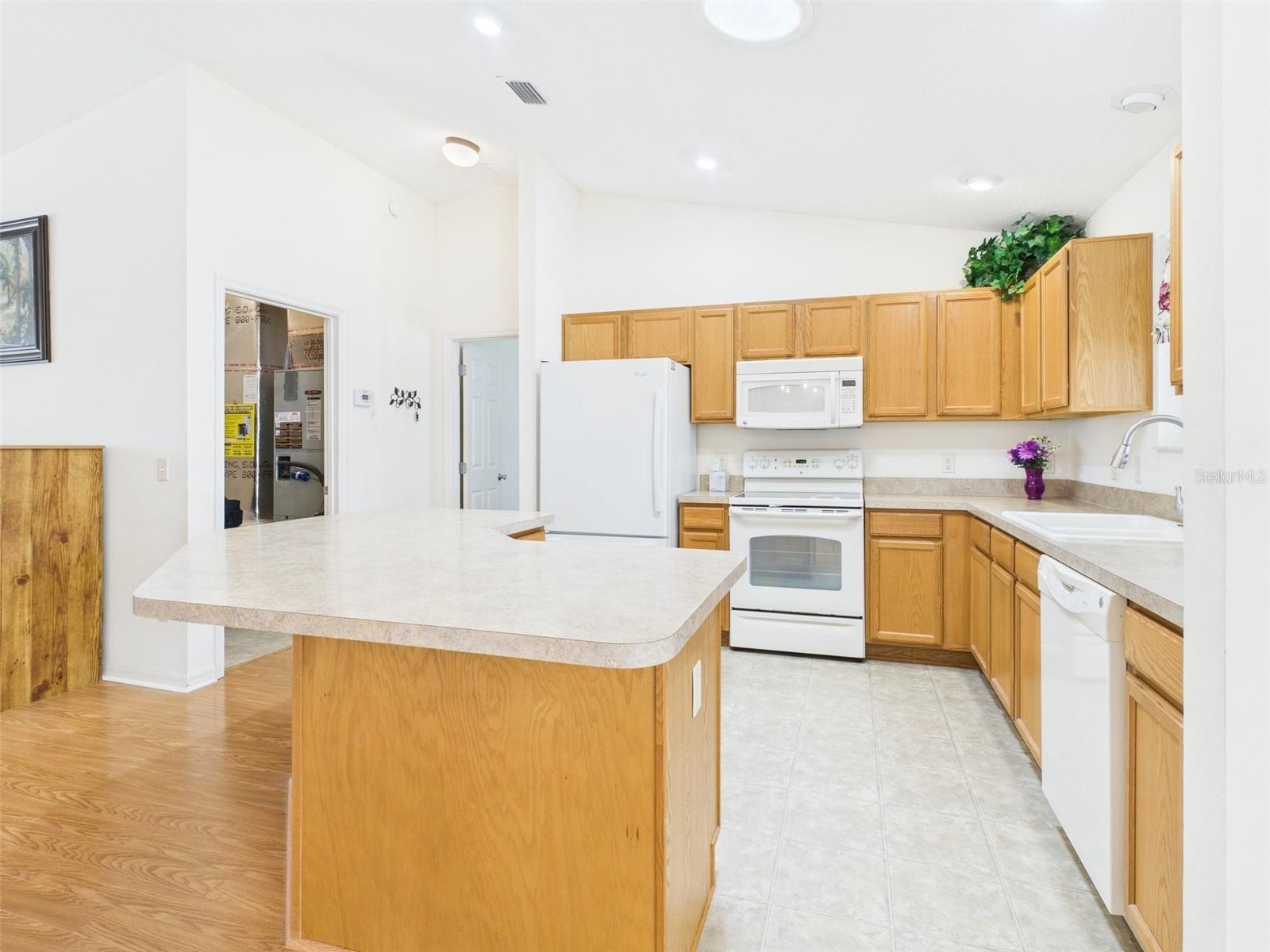 1631 BLOSSOM TERRACE, THE VILLAGES, FL, 32162