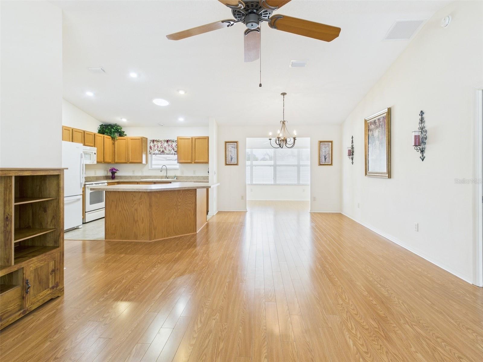 1631 BLOSSOM TERRACE, THE VILLAGES, FL, 32162