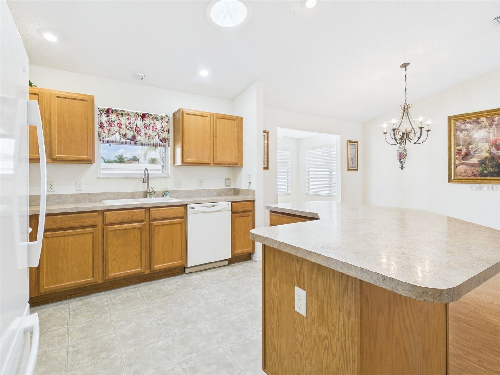 1631 BLOSSOM TERRACE, THE VILLAGES, FL, 32162