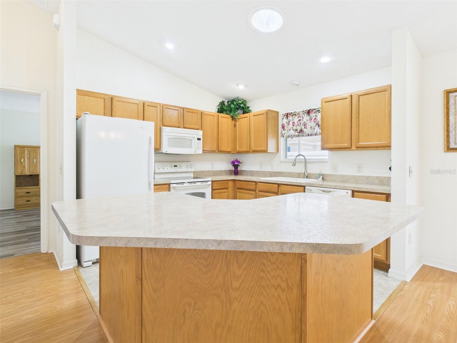 1631 BLOSSOM TERRACE, THE VILLAGES, FL, 32162