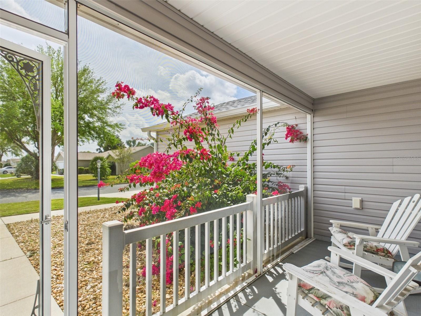 1631 BLOSSOM TERRACE, THE VILLAGES, FL, 32162