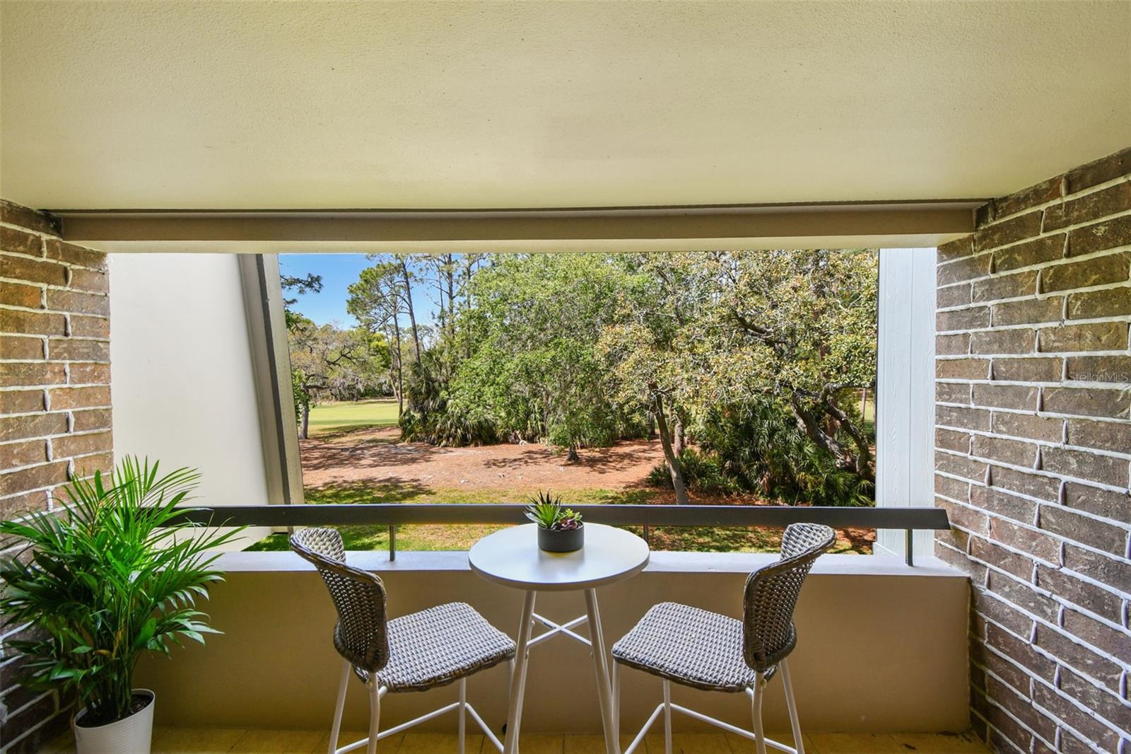 36750 US 19 N #20211, PALM HARBOR, FL, 34684