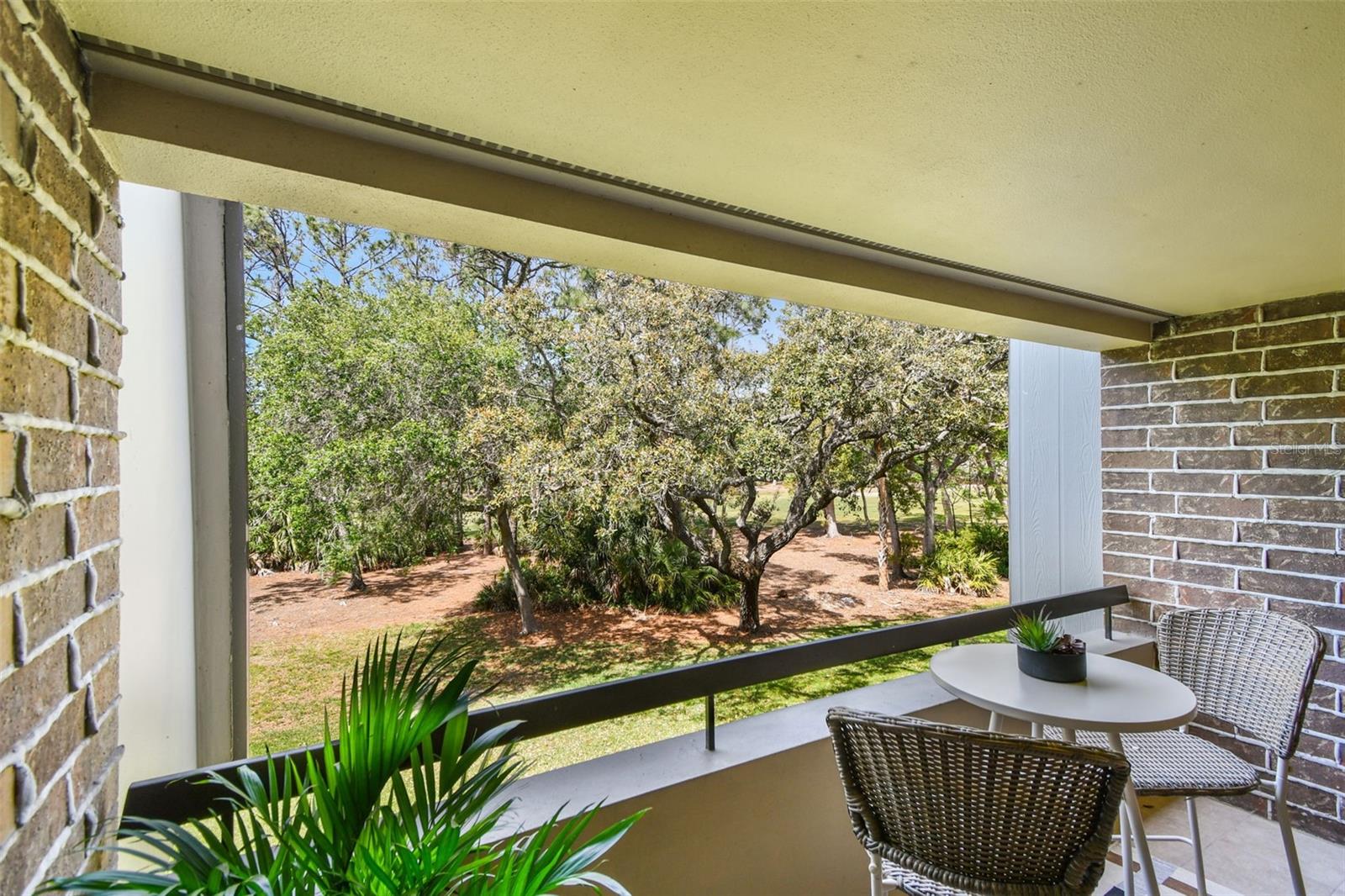 36750 US 19 N #20211, PALM HARBOR, FL, 34684