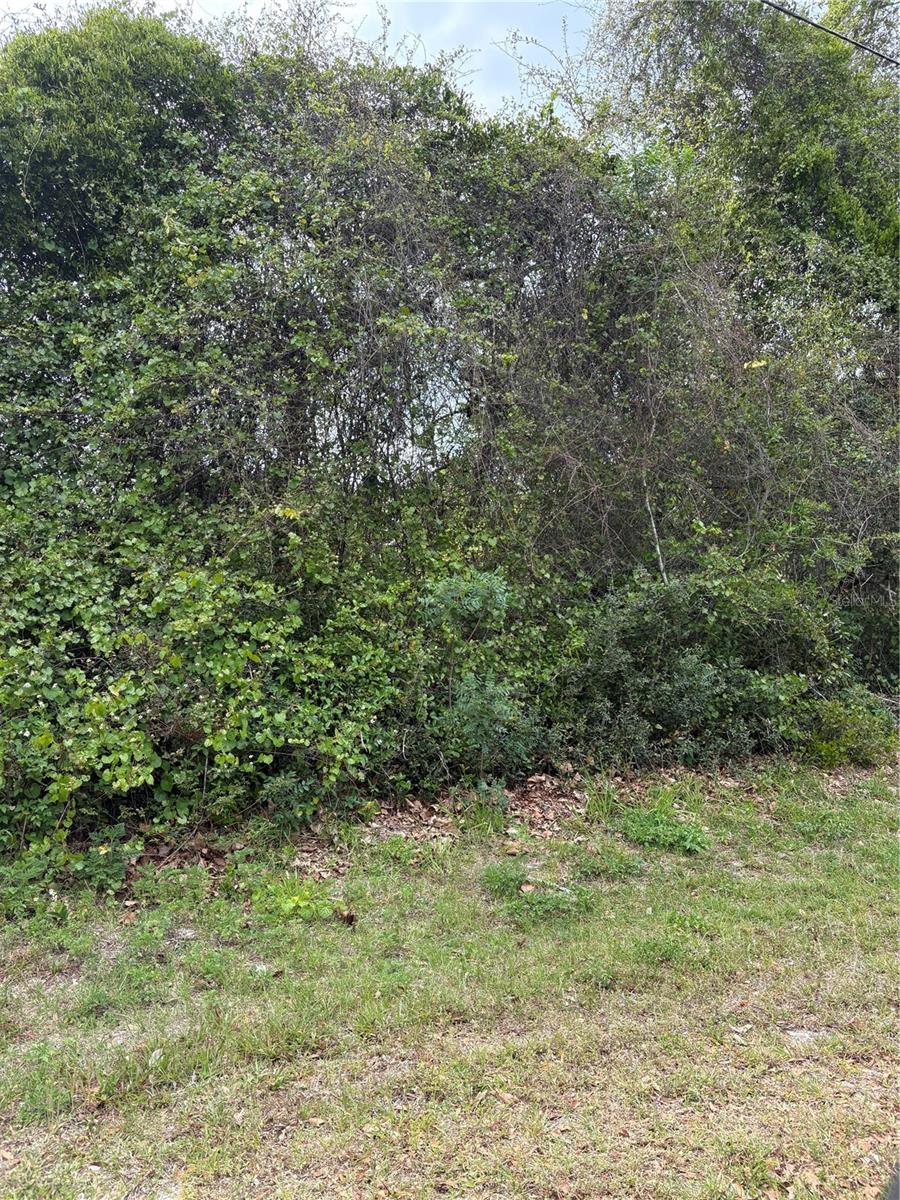 1901 S FARM RD, DELAND, FL, 32720