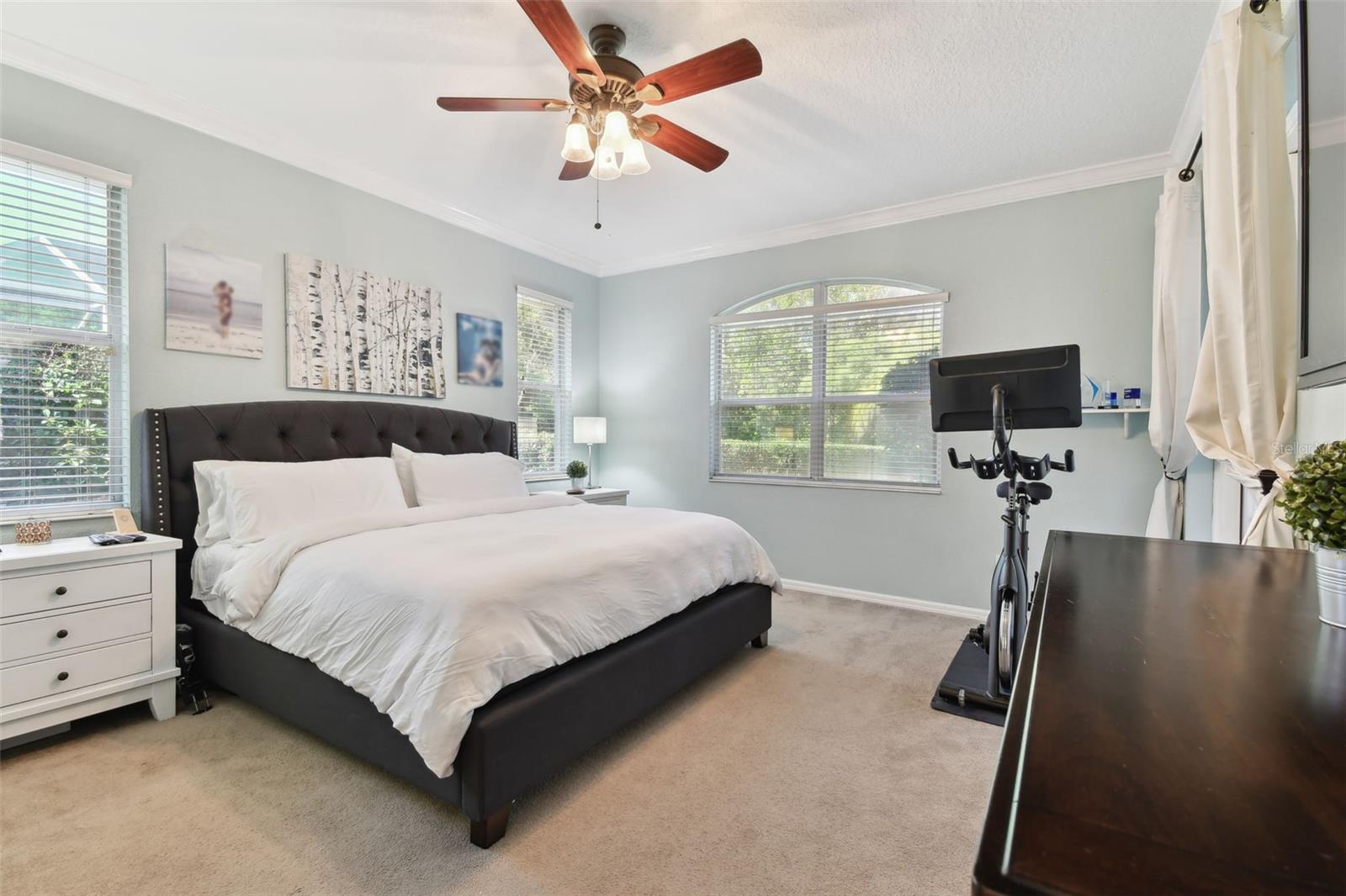 5813 BENT GRASS DR, VALRICO, FL, 33596